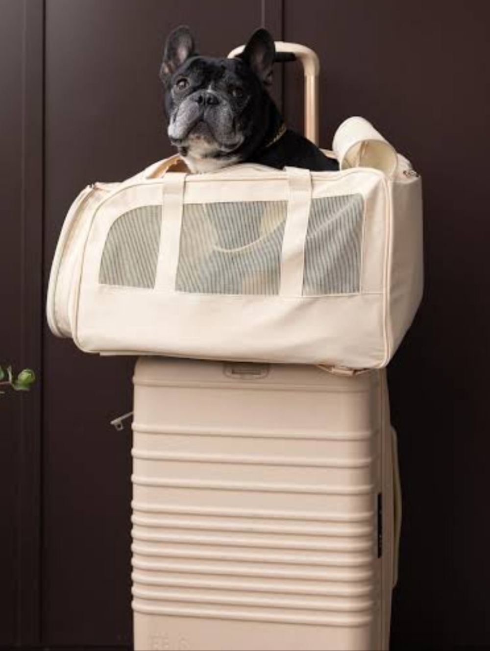 Beis Cream Mesh Travel Duffel